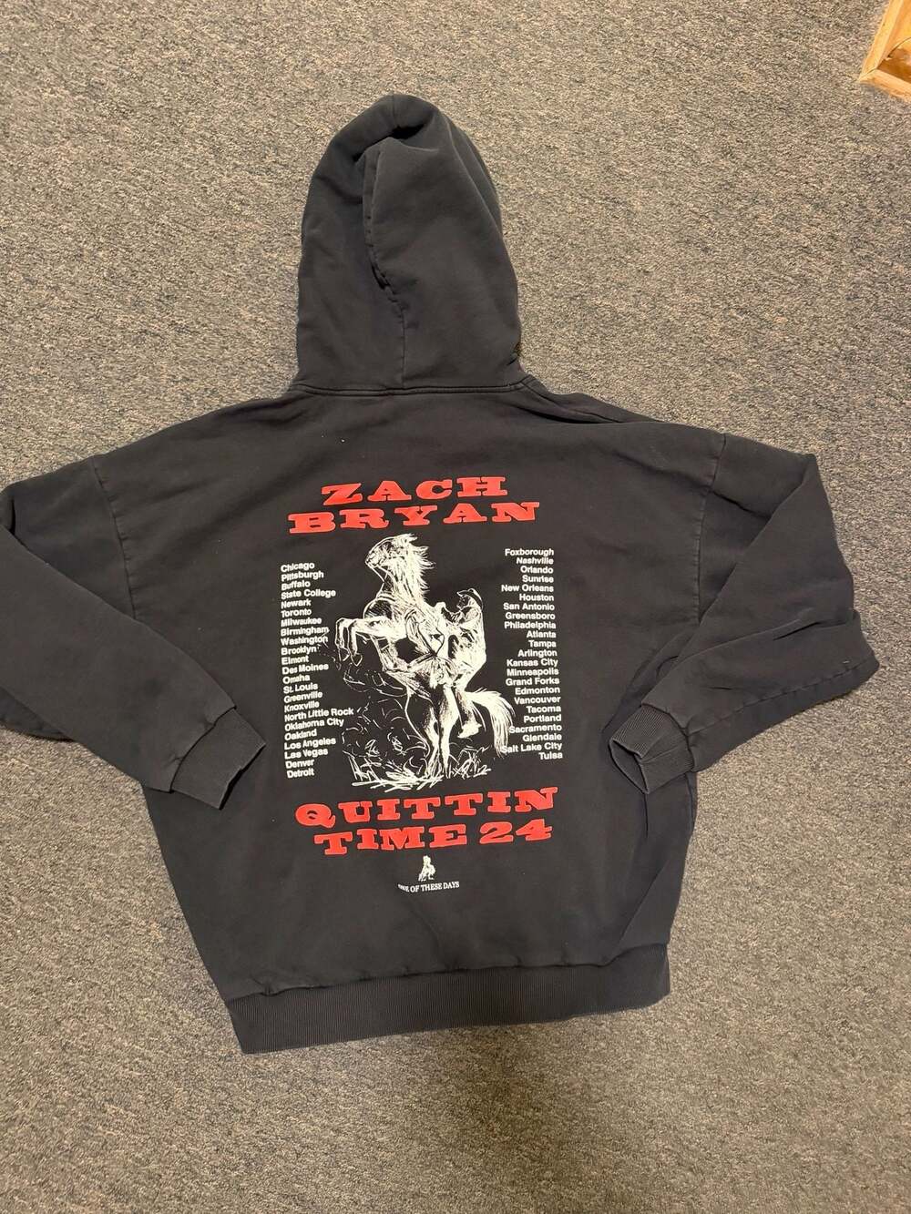 One of These Days x Zach Bryan Hoodie